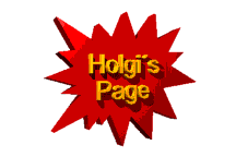 holgi logo